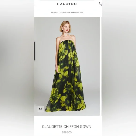 $795 HALSTON Claudette Floral Print Chiffon Strapless Gown Dress size 2 NWT - Picture 2 of 16
